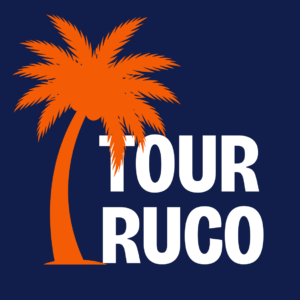 Logo completo claro